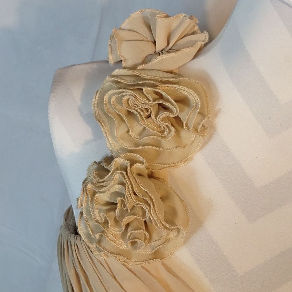 Bari Jay One Shoulder Chiffon Dress - Picture 3 of 7